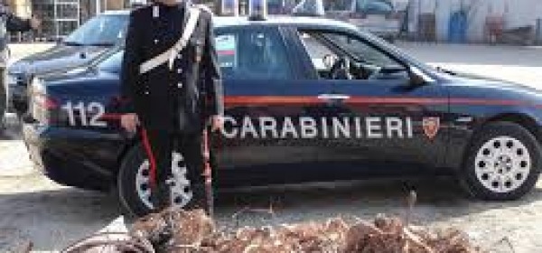 Carabinieri