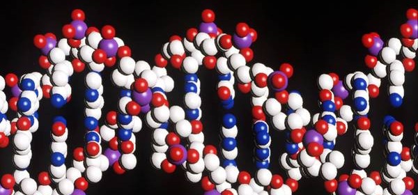 Dna artificiale con due 'lettere' in più