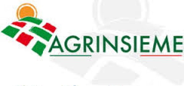 Agrinsieme logo