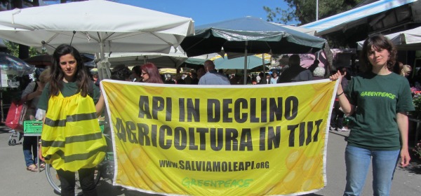 Greenpeace: Api Attiviste al Mercato di Montesilvano
