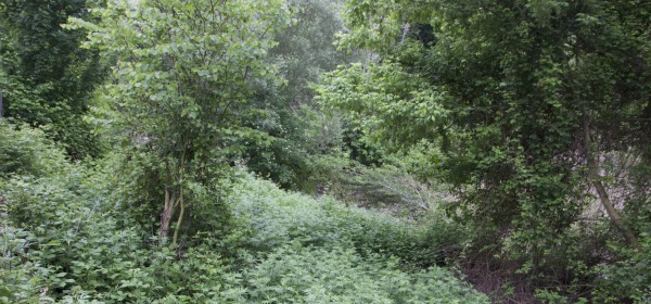 Parco Fluviale Teramo