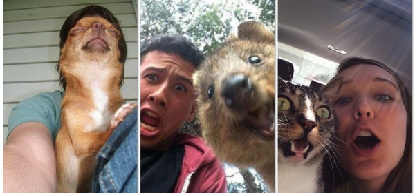 selfie perfetti