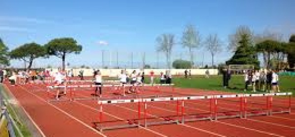 Campionati studenteschi di atletica leggera