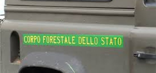 Corpo Forestale dello Stato