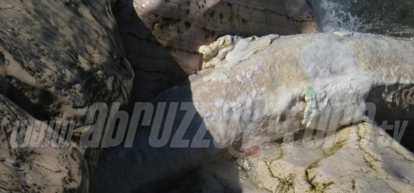 Trabocco dannunziano oggetto misterioso gelatinoso