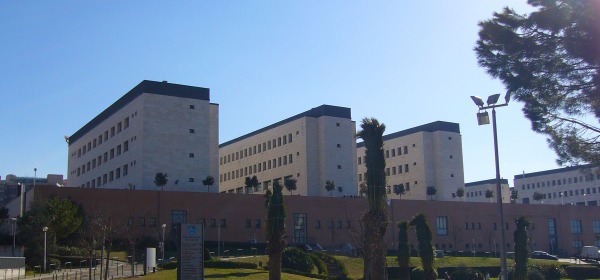 L'Università "Gabriele D'Annunzio"