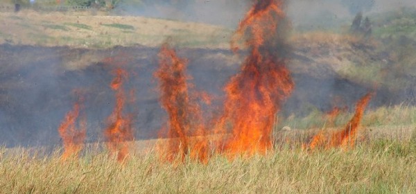 Incendio sterpaglie