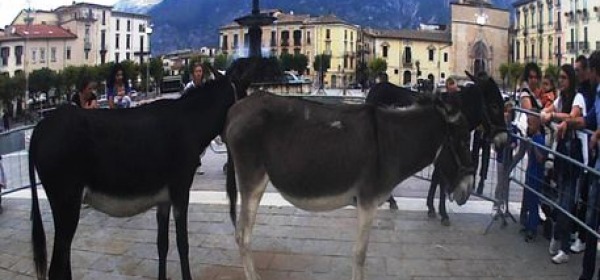 Asini Gino, Carmela e Teresa