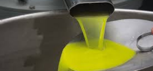 Produzione olio d'oliva