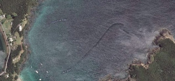 Il mostro marino immortalato da Google Earth