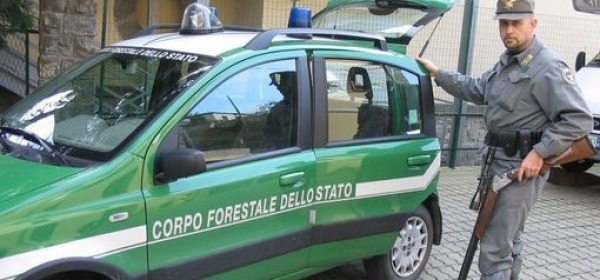 Operazione terre d'oro