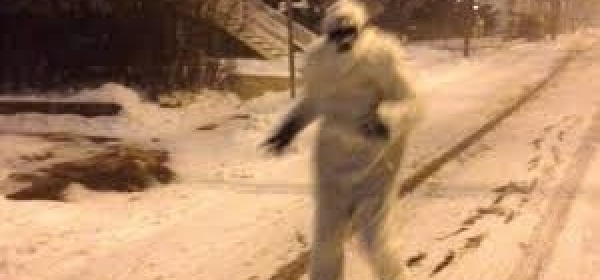 @BostonYeti2015
