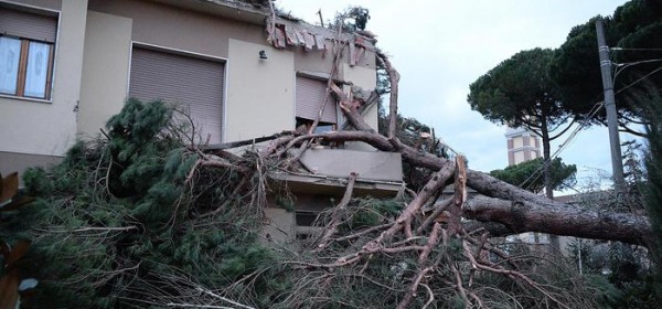 Danni provocati dal forte vento a Ponsacco (Pisa)