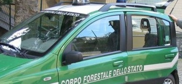 Corpo Forestale dello Stato