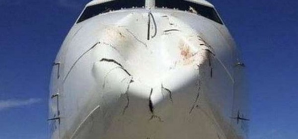 L'aereo della Turkish Airlines che si &egrave; scontrato in vola con un uccello (Twitter/Flight-repo