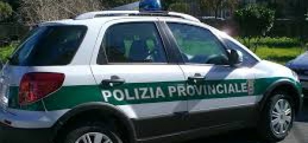 polizia provinciale pe