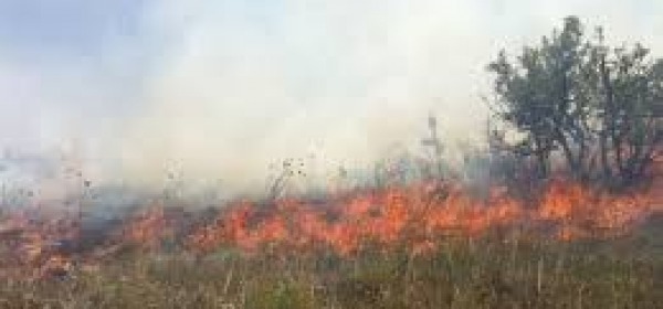 Incendi sterpaglie