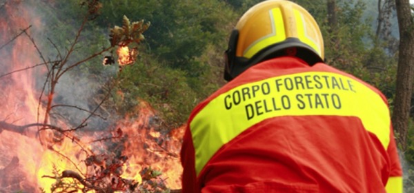 Corpo Forestale Dello Stato