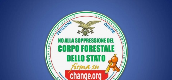 no scioglimento forestale