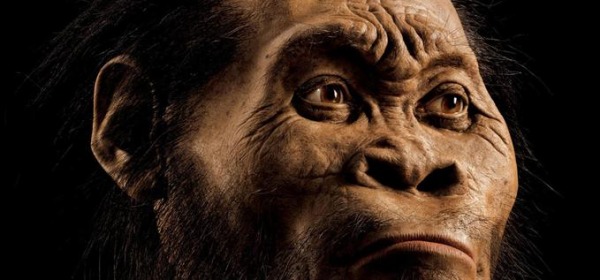 Homo Naledi