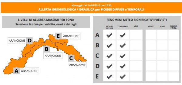 allerta meteo