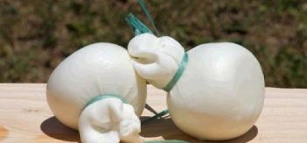 Tipica scamorza d'Abruzzo