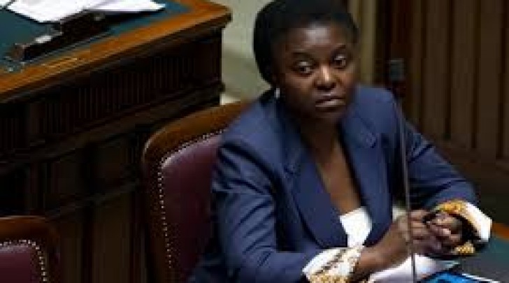 Cecile Kyenge