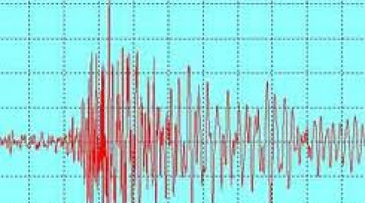 grafico sisma