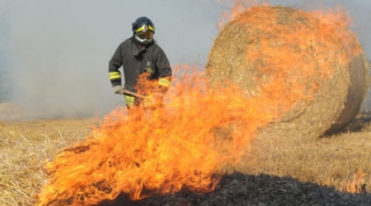 Incendio rotoballe