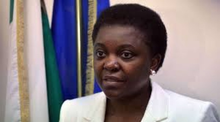 Il ministro Cecile Kyenge