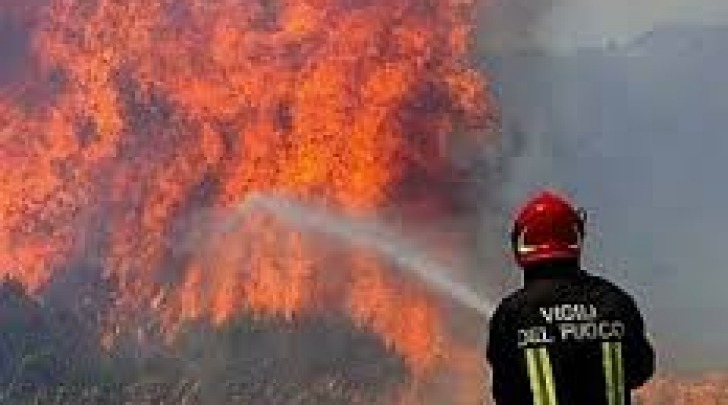 incendio macchia mediterranea