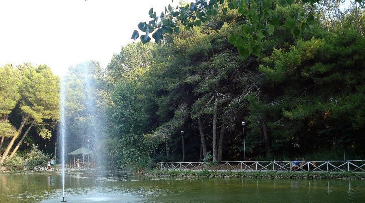 Parco D'Avalos