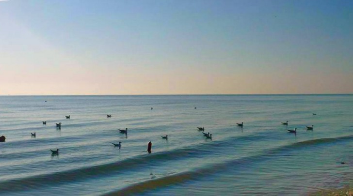 Il mare di Pineto - foto da facebook