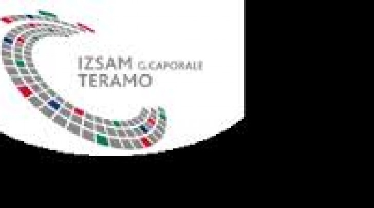 IZSAM-Teramo