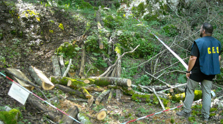 Foto Corpo forestale dello Stato