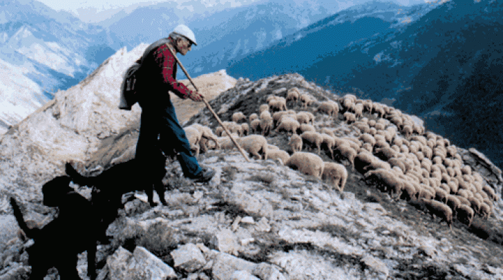 un pastore di Pescocostanzo