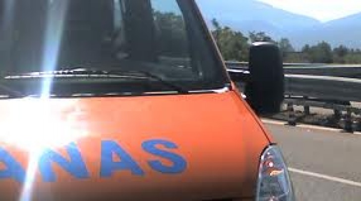 Anas