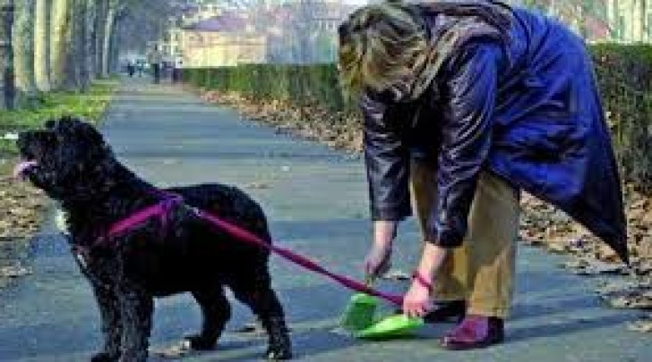 il cane a passeggio