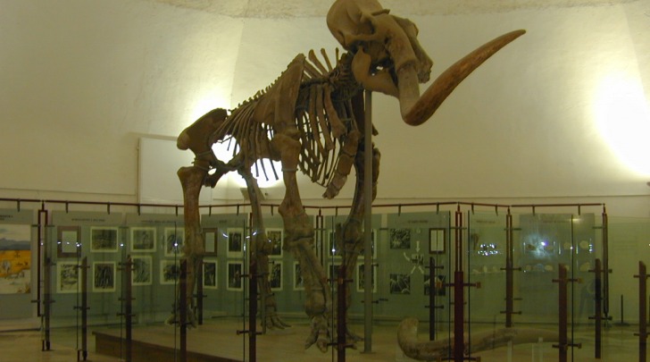 Il Mammuth
