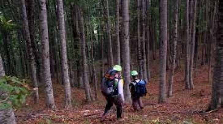 escursionisti in montagna