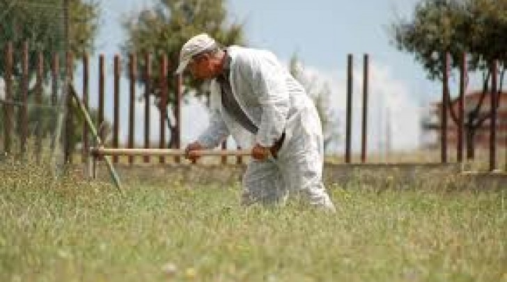 Lavori socialmente utili