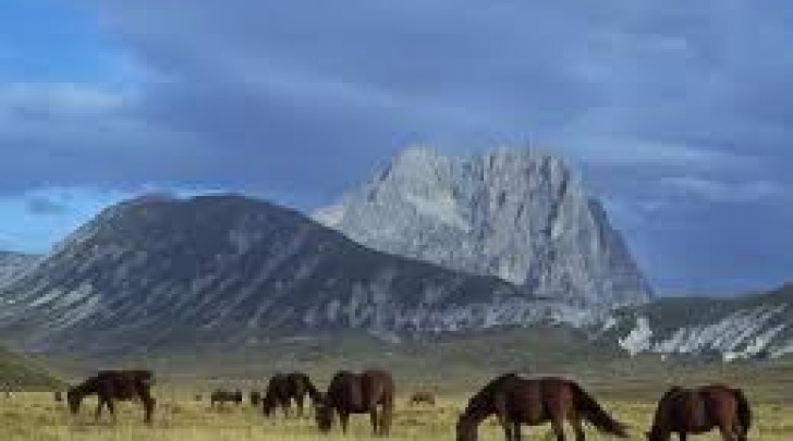 Pascoli Gran Sasso