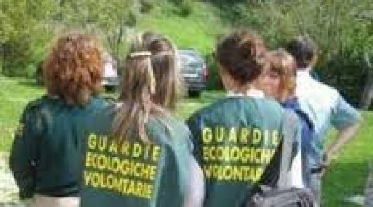 Guardie ecologiche volontarie