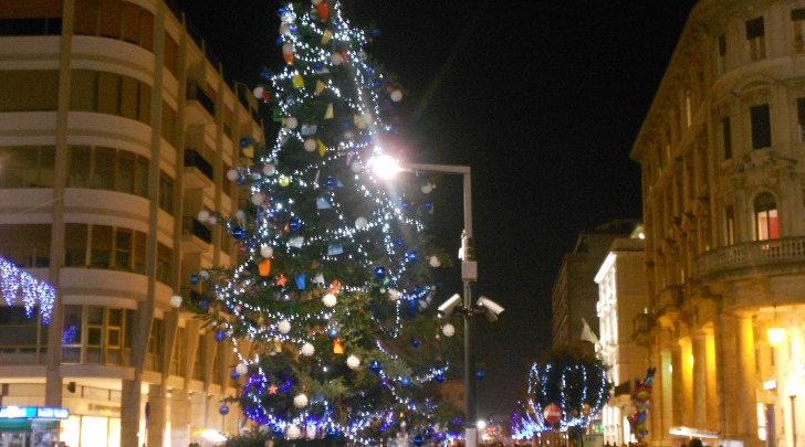 L'abete in piazza Salotto