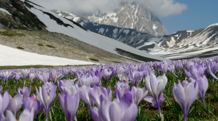 Foto di M. Anselmi