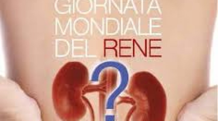 Giornata mondiale rene