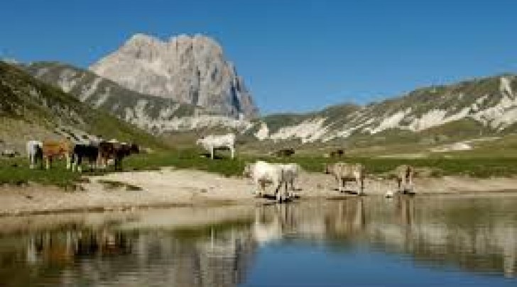 foto parco gran sasso