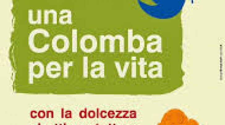 Una colomba per la vita