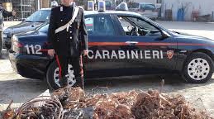 Carabinieri