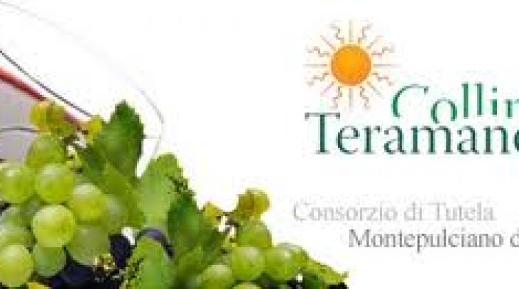 Consorzio vini colline teramane